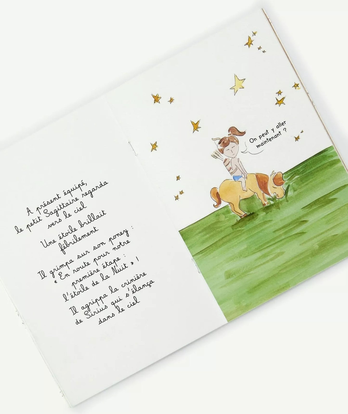 LIVRE LE PETIT SAGITTAIRE