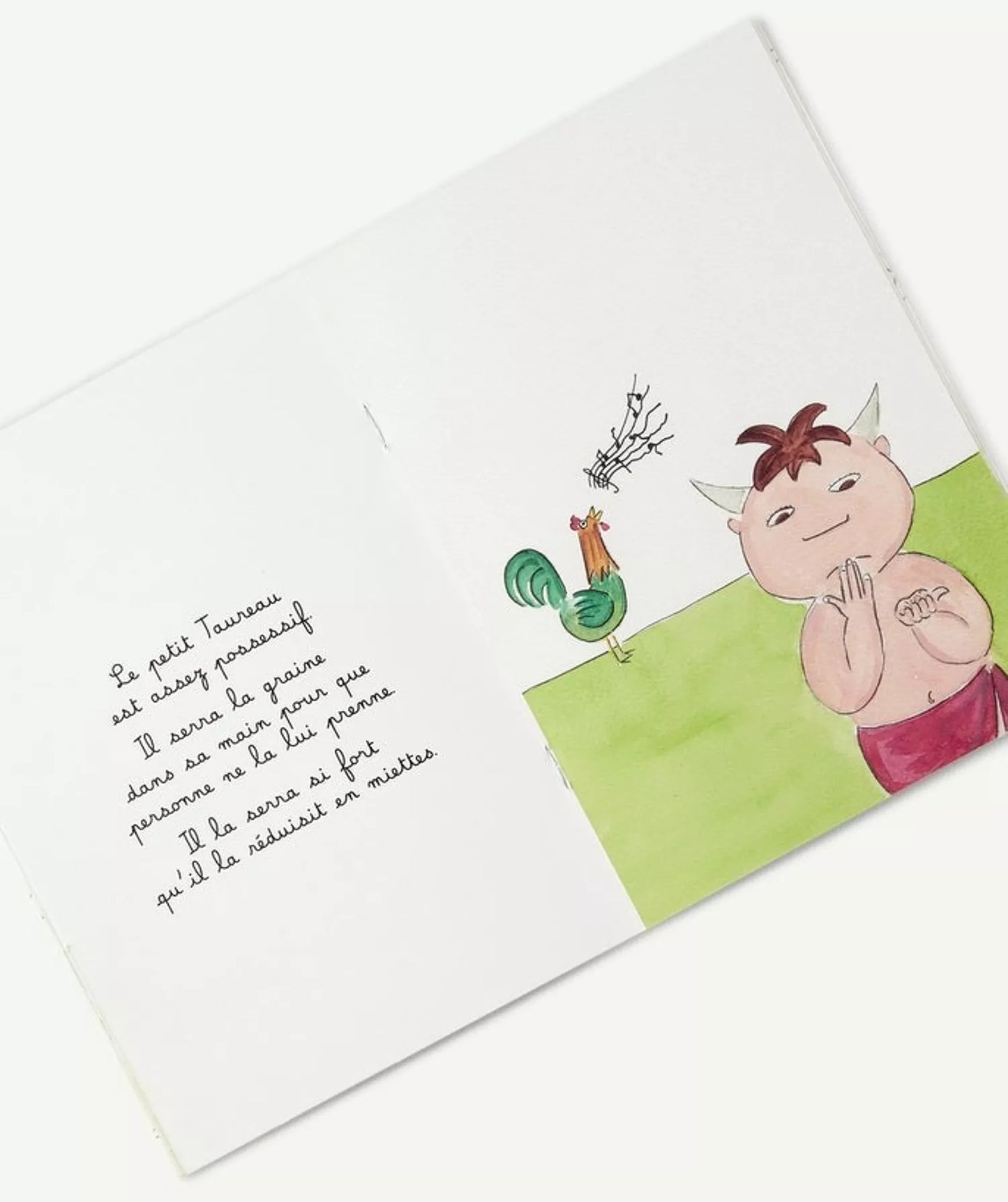 LIVRE LE PETIT TAUREAU