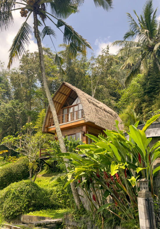 BALI'S HOUSE 30x40cm - DAVID&DAVID