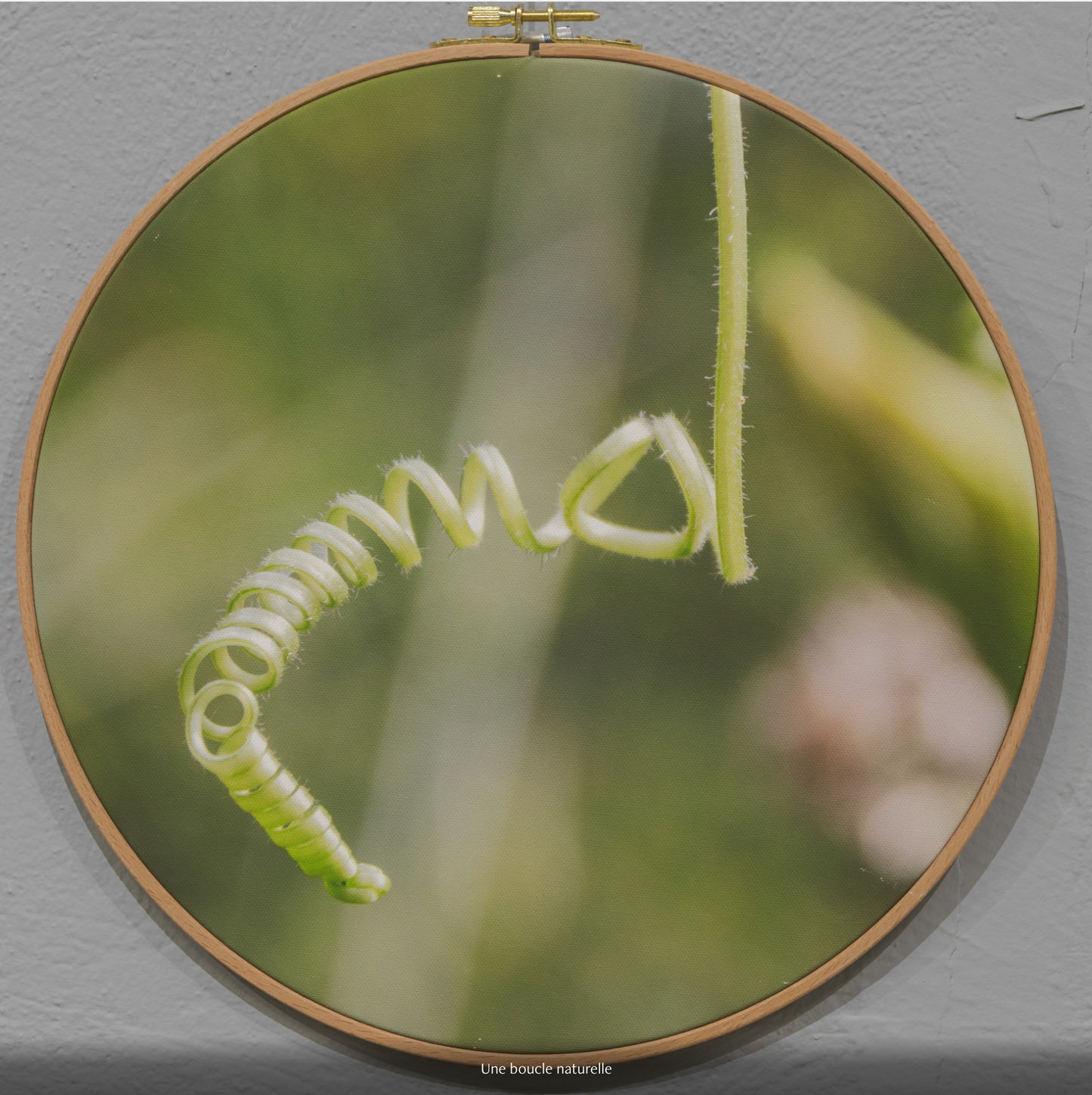 UNE BOUCLE NATURELLE n°1/10 - DIAMETRE 30cm - NISSA