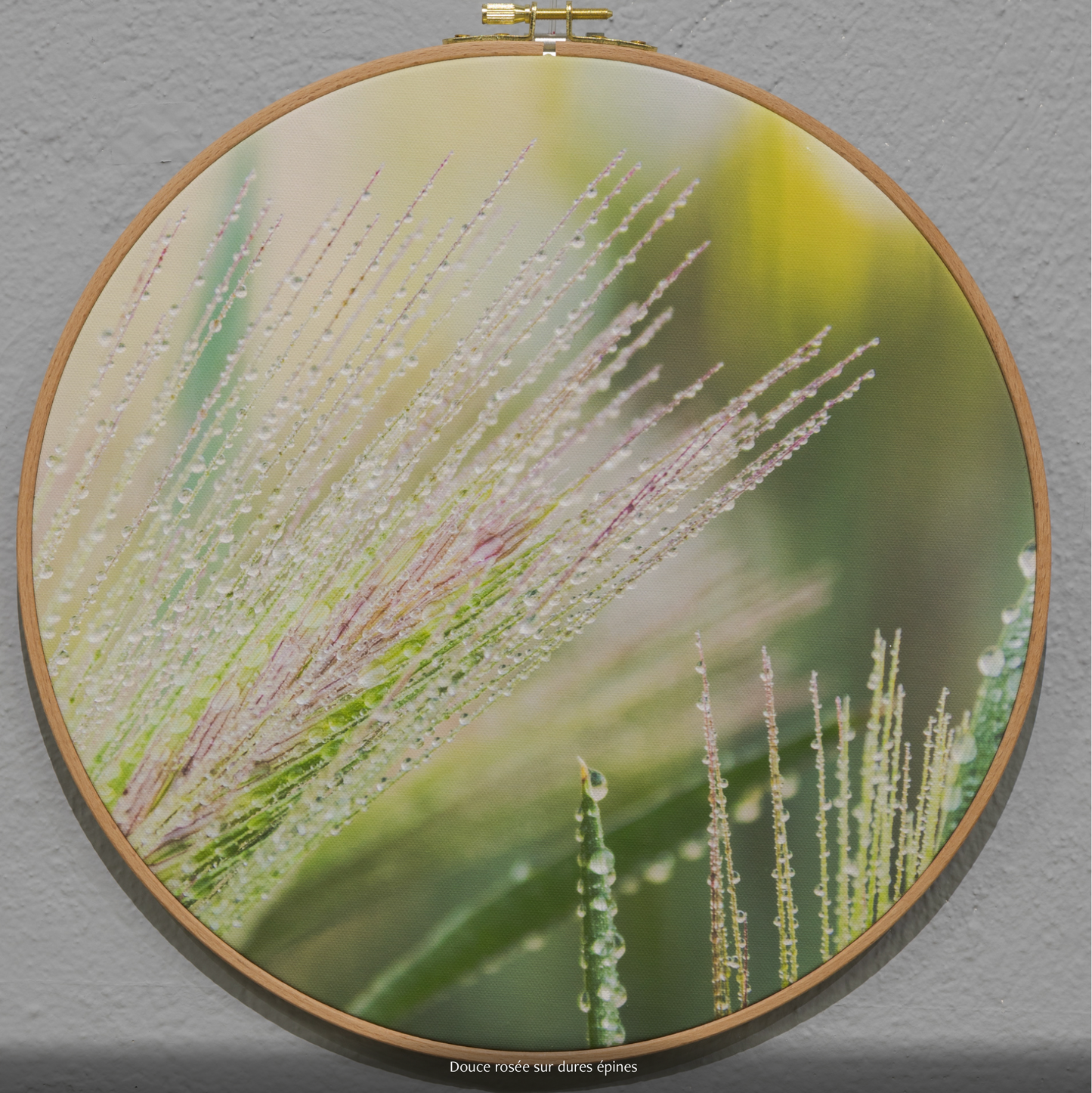 DOUCE ROSÉE SUR DURES ÉPINES n°3/10 - DIAMETRE 30cm - NISSA