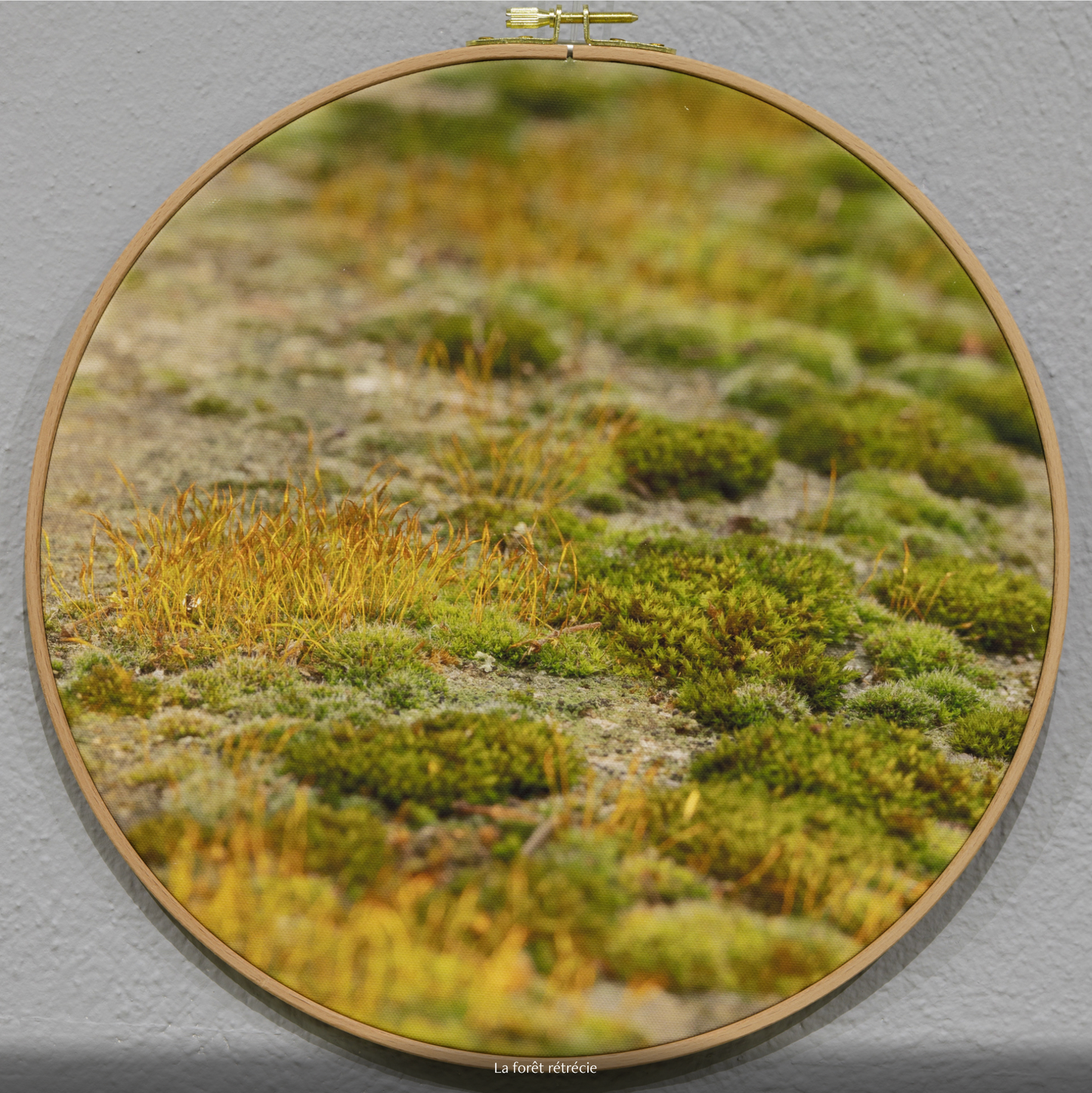 LA FORÊT RÉTRÉCIE n°1/10 - DIAMETRE 30cm - NISSA