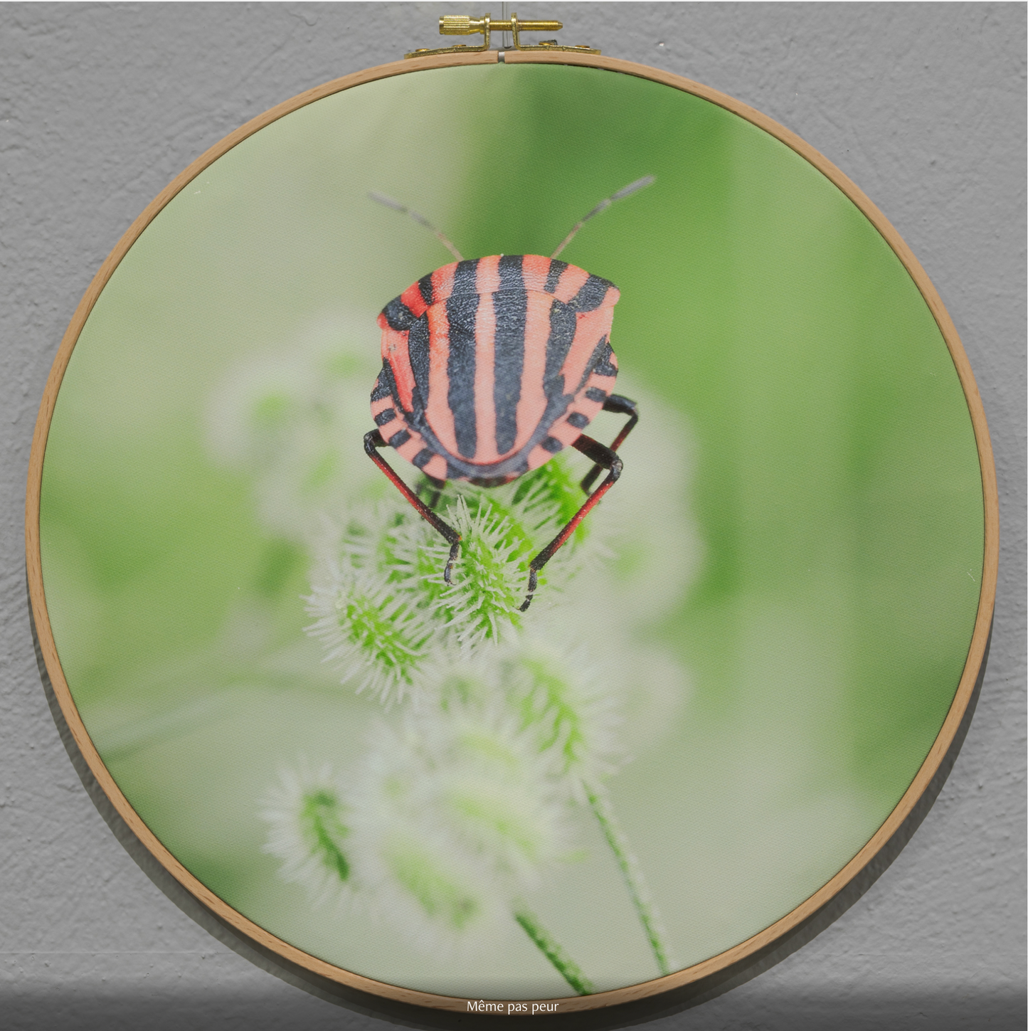 MÊME PAS PEUR n°1/10 - DIAMETRE 30cm - NISSA