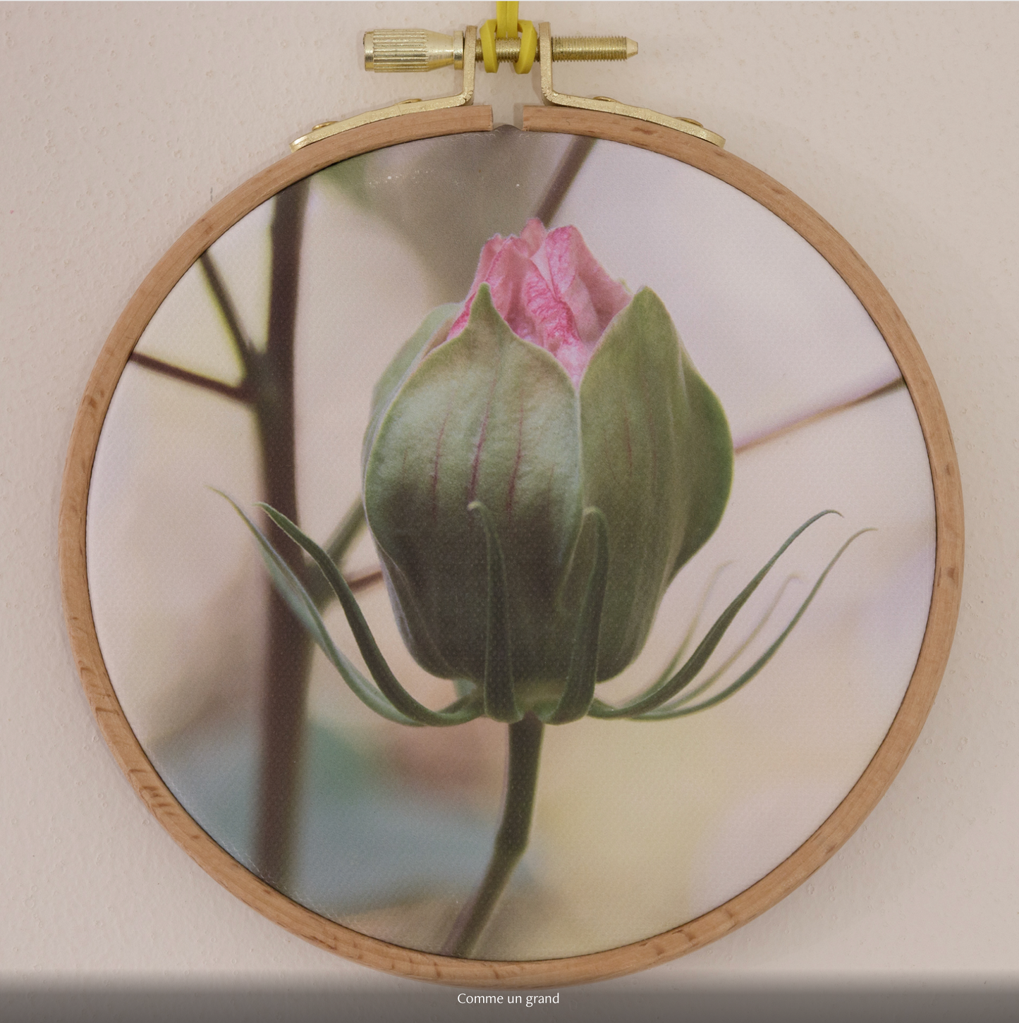 COMME UN GRAND n°1/10 - DIAMETRE 12,5cm - NISSA