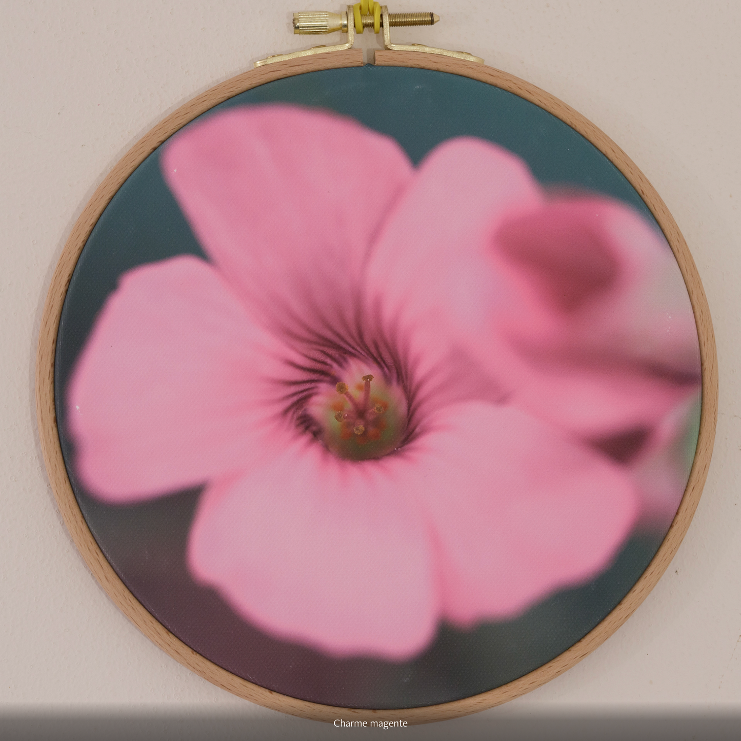 CHARME MAGENTA n°1/10 - DIAMETRE 18cm - NISSA