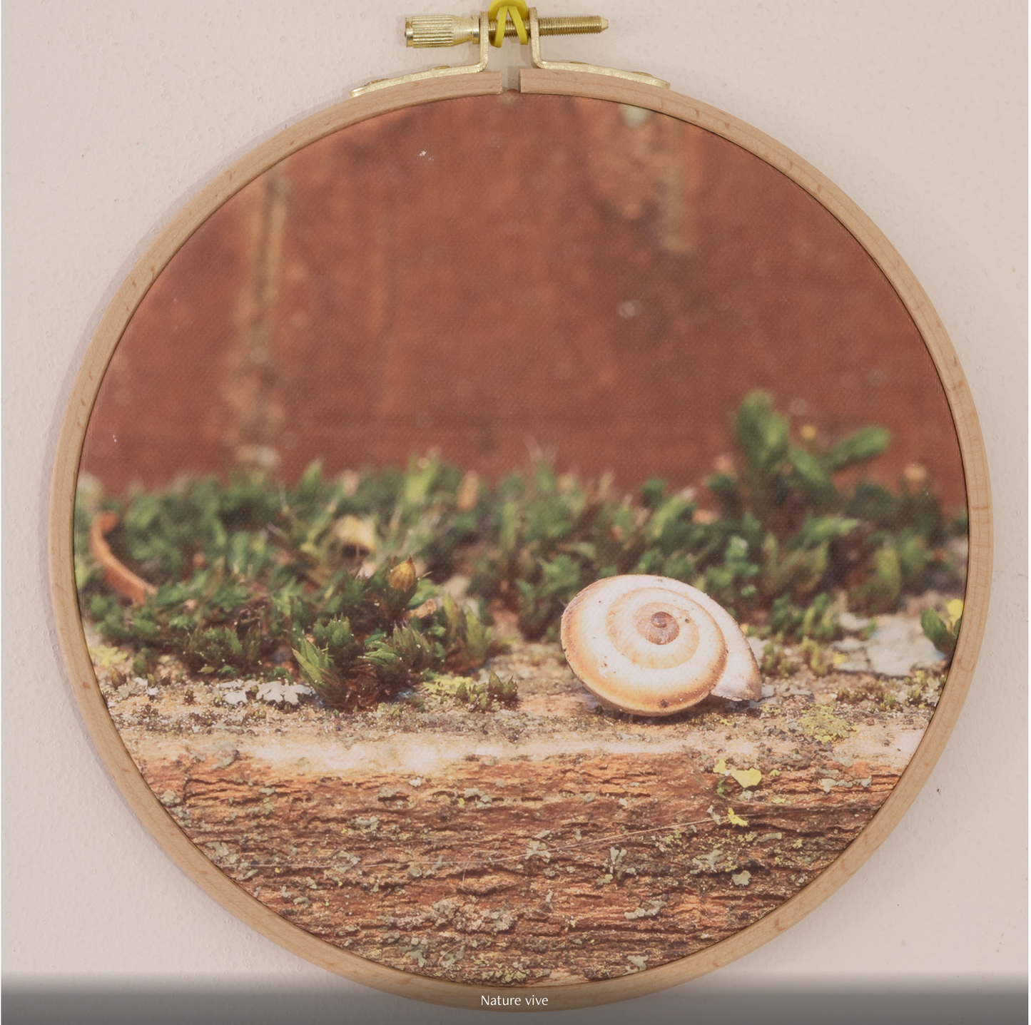 NATURE VIVE n°1/10 - DIAMETRE 18cm - NISSA