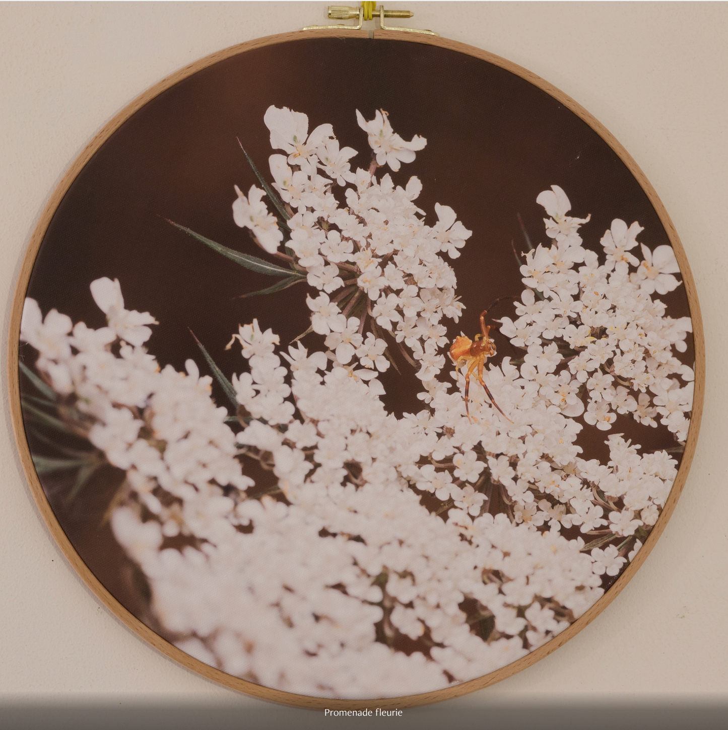 PROMENADE FLEURIE n°1/10 - DIAMETRE 30cm - NISSA