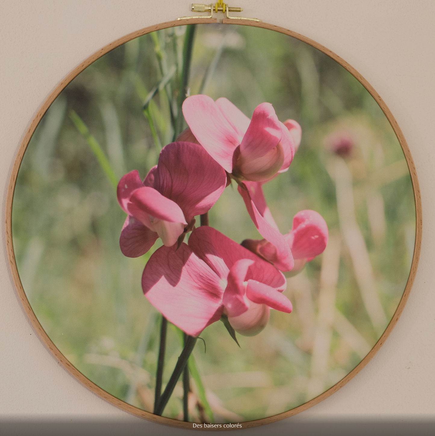 DES BAISERS COLORÉS n°1/10 - DIAMETRE 30cm - NISSA