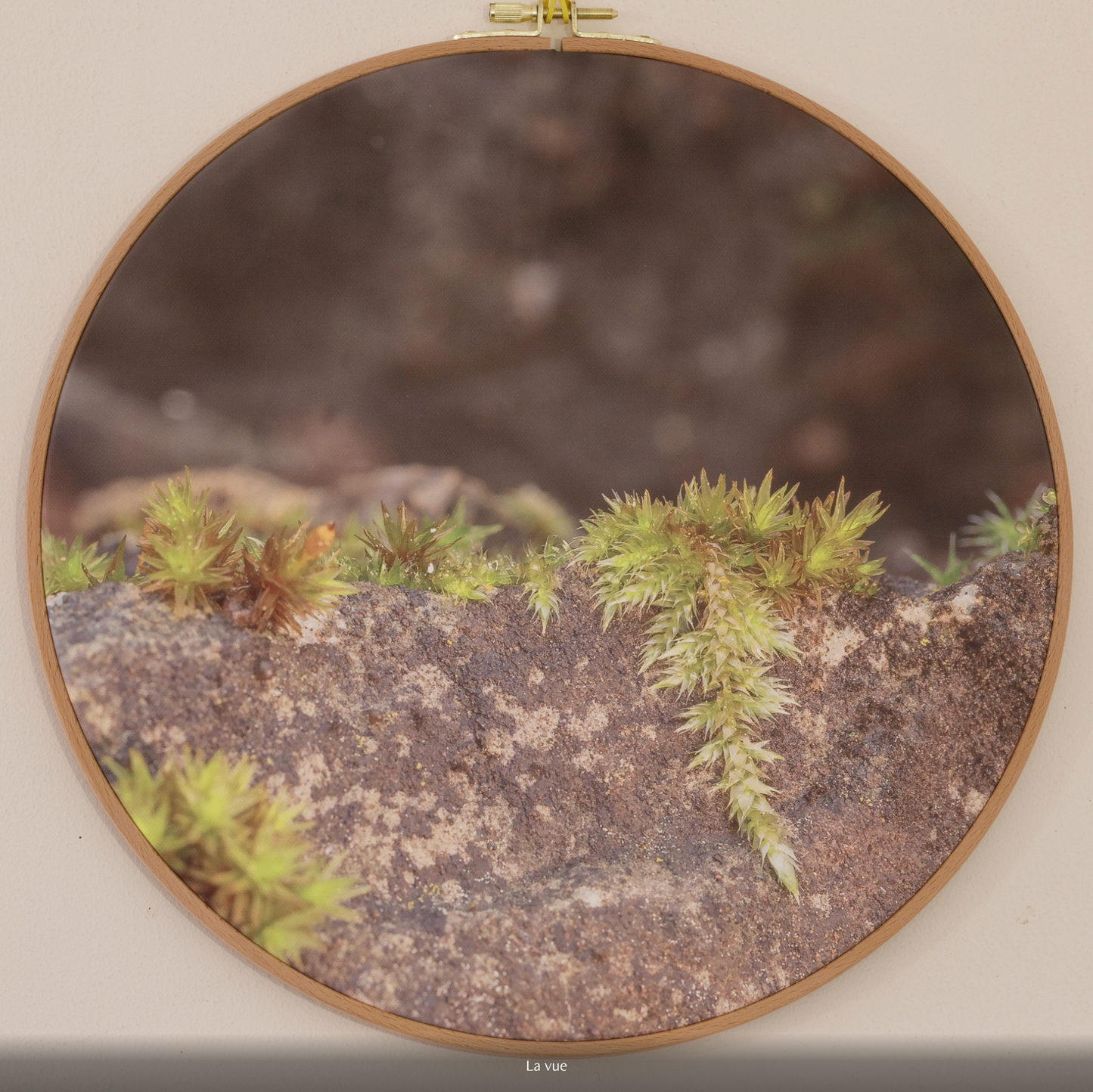 LA VUE n°1/10 - DIAMETRE 30cm - NISSA