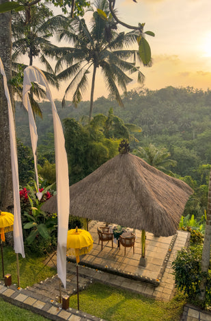 AFFICHE 30x40CM - DAVID&DAVID