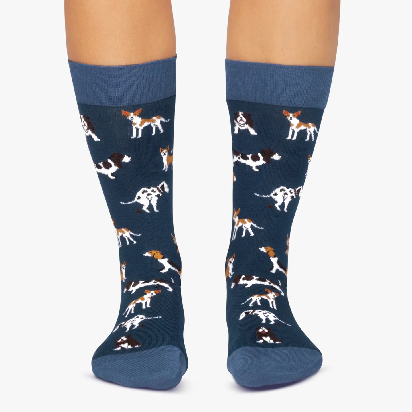 CHAUSSETTES - CHIENS - BLEU MARINE - JIMMY LION