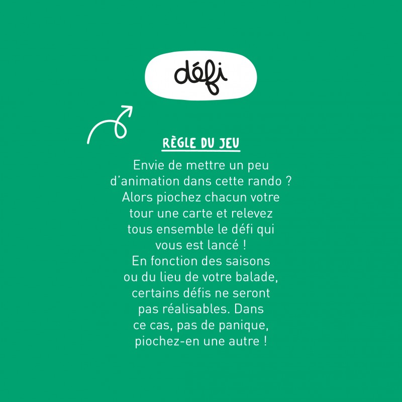 LES DEFIS COOLS - RANDO DINGO - MINUS EDITIONS