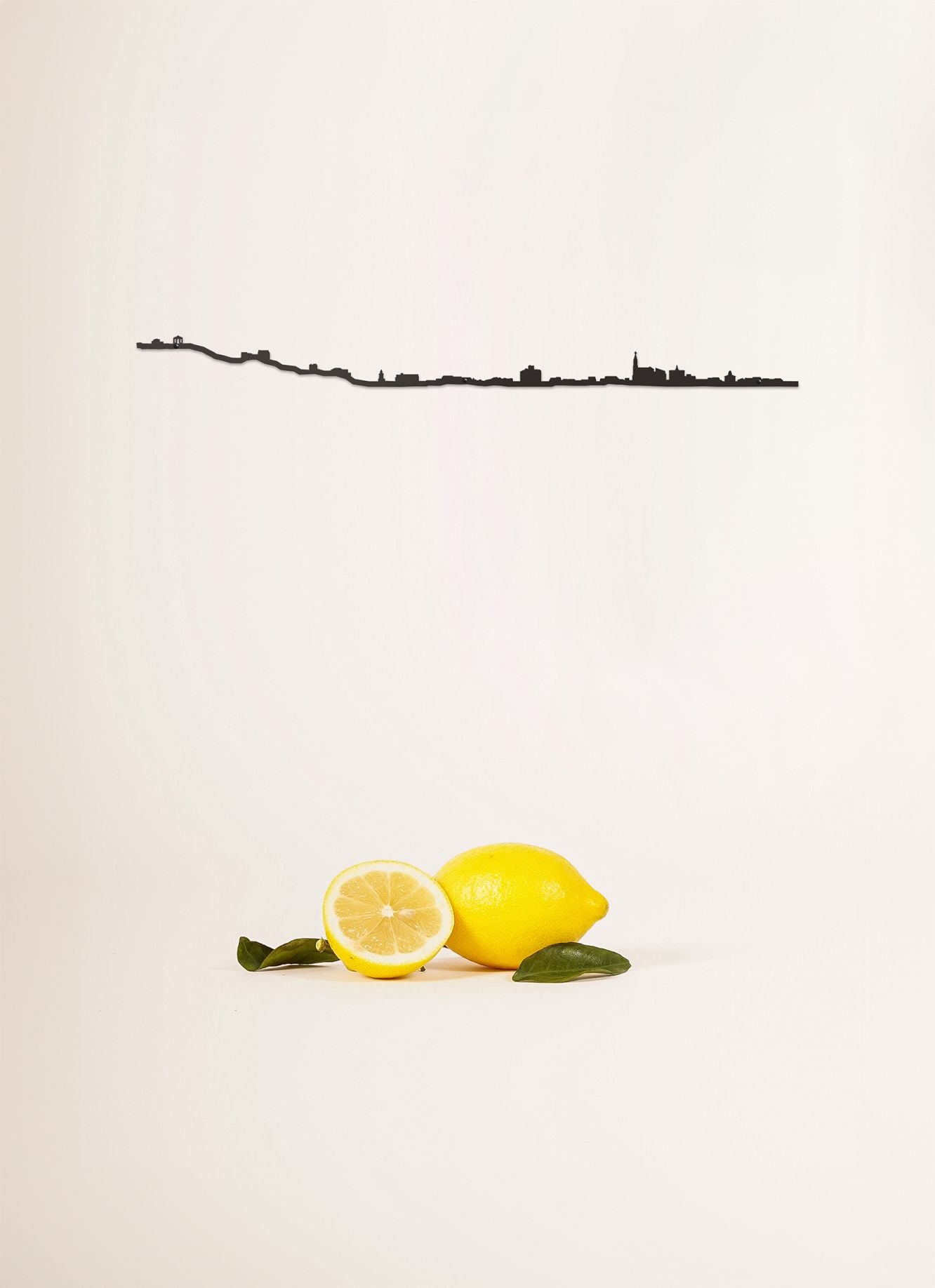 THE LINE CITY - THE LINE