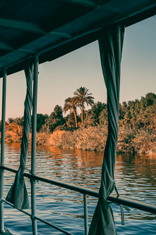 AFFICHE 30x40cm - NILE PALMS - DAVID&DAVID