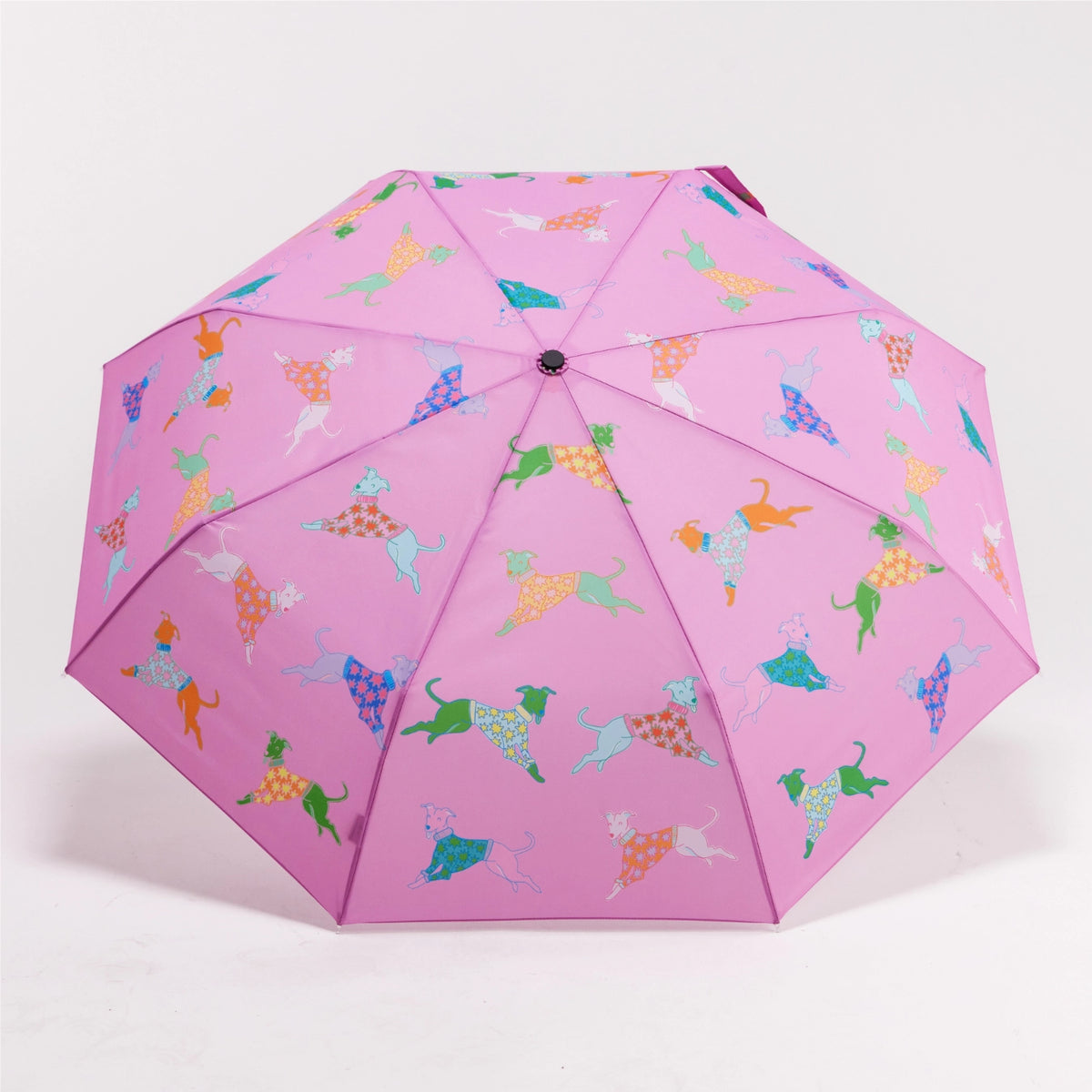 PARAPLUIE  DOGS IN PINK WHIPPET - ORIGINAL DUCKHEAD