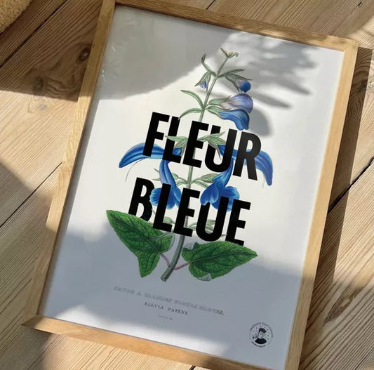 AFFICHE A4 "FLEUR BLEUE" - STUDIO TOPO