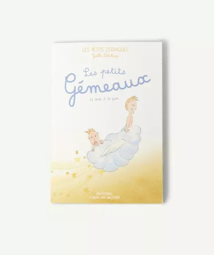 LIVRE LE PETIT GEMEAU