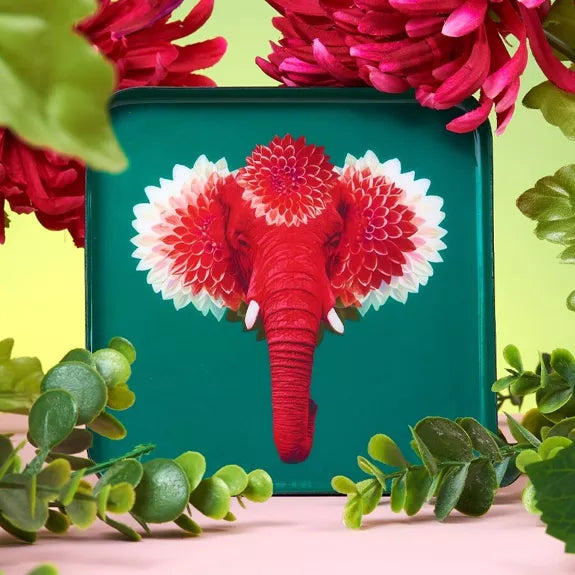 VIDE-POCHE PACHIII - GANGZAÏ