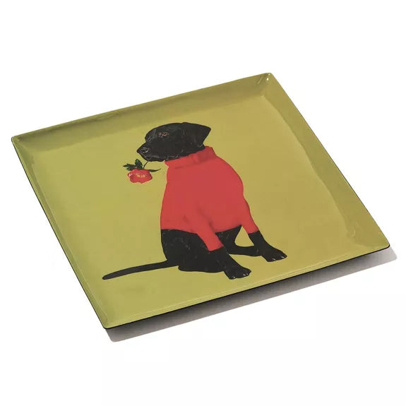 PLATEAU CARRE TOOX - GANGZAÏ