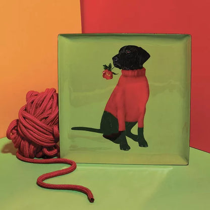 PLATEAU CARRE TOOX - GANGZAÏ