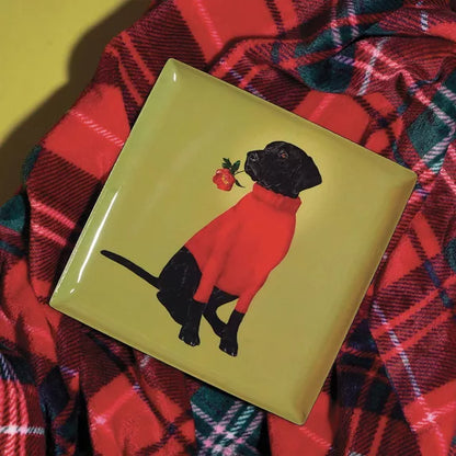 PLATEAU CARRE TOOX - GANGZAÏ