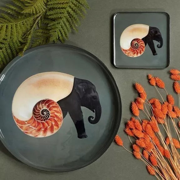 PLATEAU ROND  SHELLEPHANT - GANGZAÏ