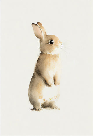 BABY RABBIT  18x25cm - DAVID&DAVID