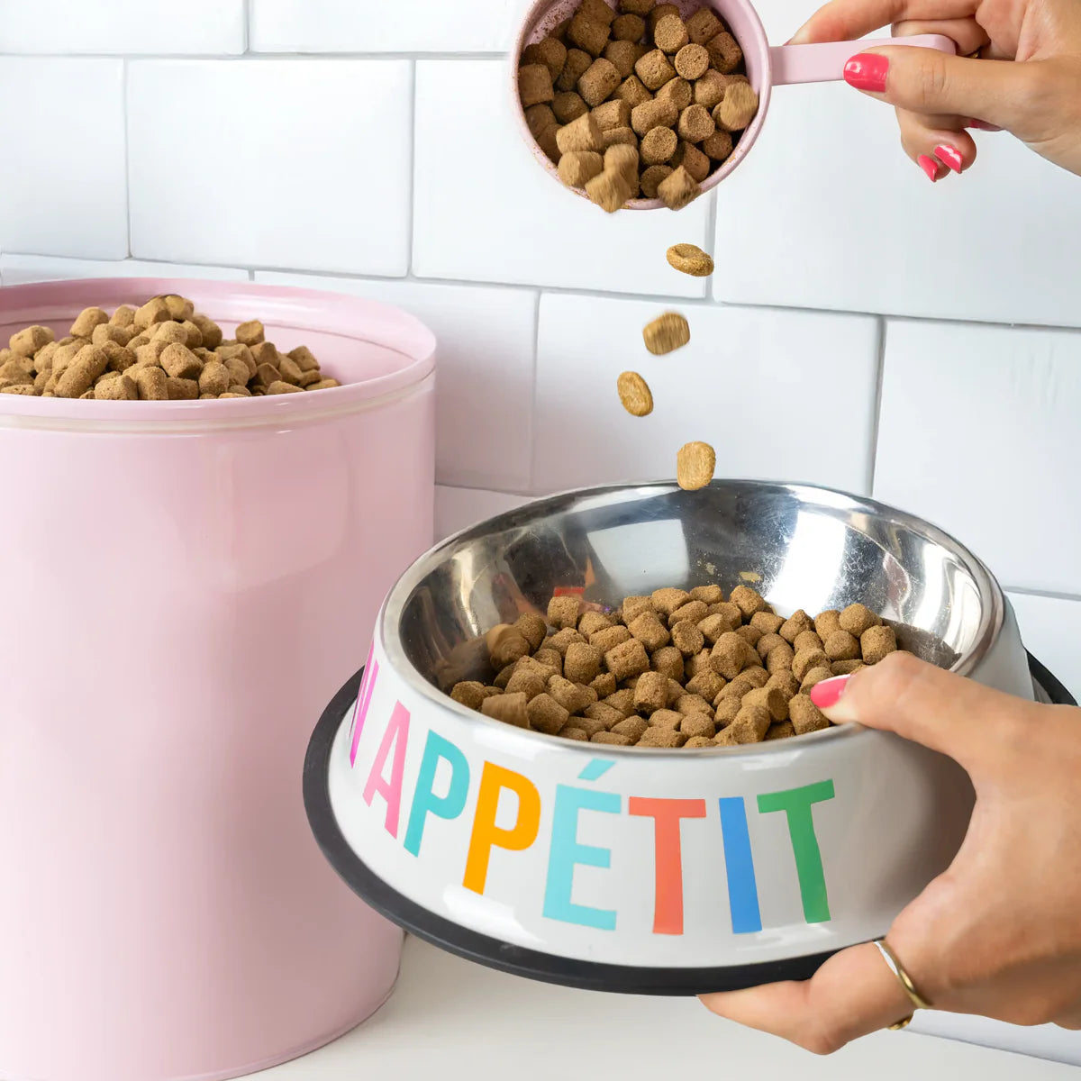 GAMELLE POUR CHIEN -BON APPETIT - FISURA