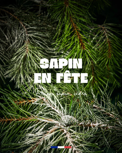 BOUGIE 180G - SAPIN EN FETE - MY JOLIE CANDLE