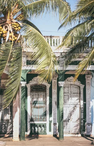 CIENFUEGOS N°1 30x40cm - DAVID&DAVID