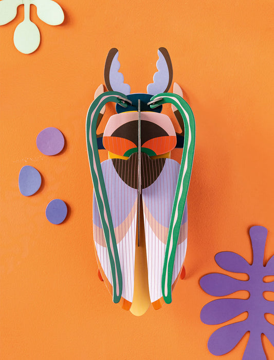 COSMOS BEETLE - STUDIO ROOF