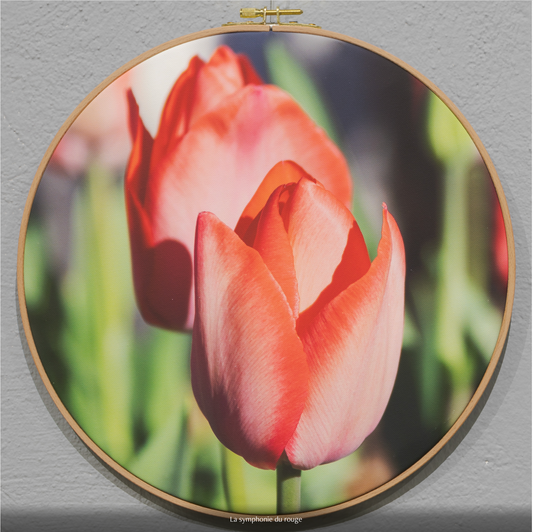 LA SYMPHONIE DU ROUGE n°1/10 - DIAMETRE 30cm - NISSA