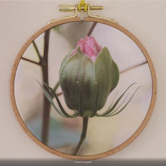 COMME UN GRAND  n°1/10 - DIAMETRE 12,5cm - NISSA