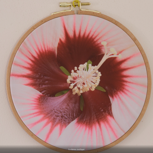 LA DANSE EXOTIQUE  n°1/10 - DIAMETRE 18cm - NISSA