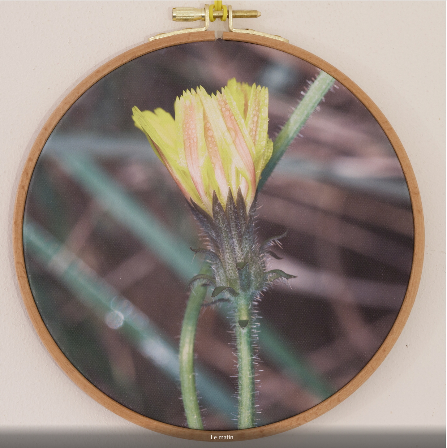 LE MATIN  n°1/10 - DIAMETRE 18cm - NISSA