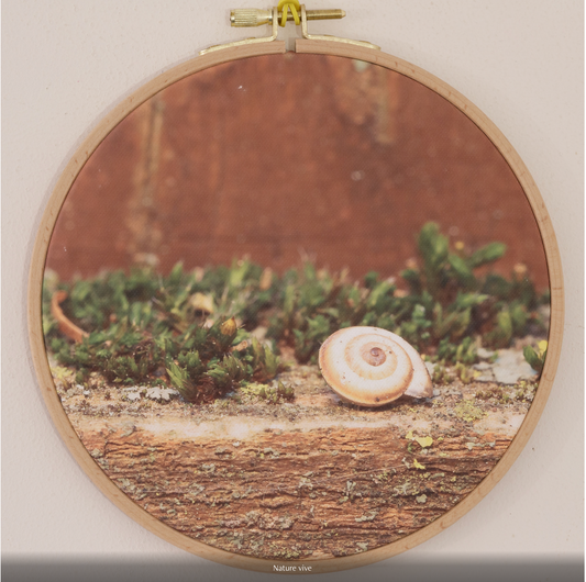 NATURE VIVE  n°1/10 - DIAMETRE 18cm - NISSA