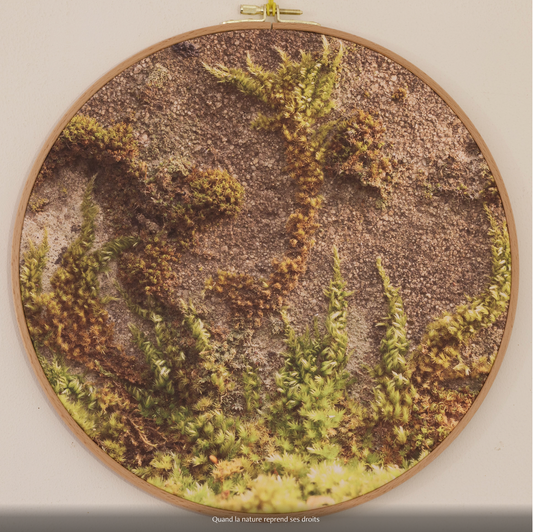 QUAND LA NATURE REPREND SES DROITS  n°1/10 - DIAMETRE 30cm - NISSA