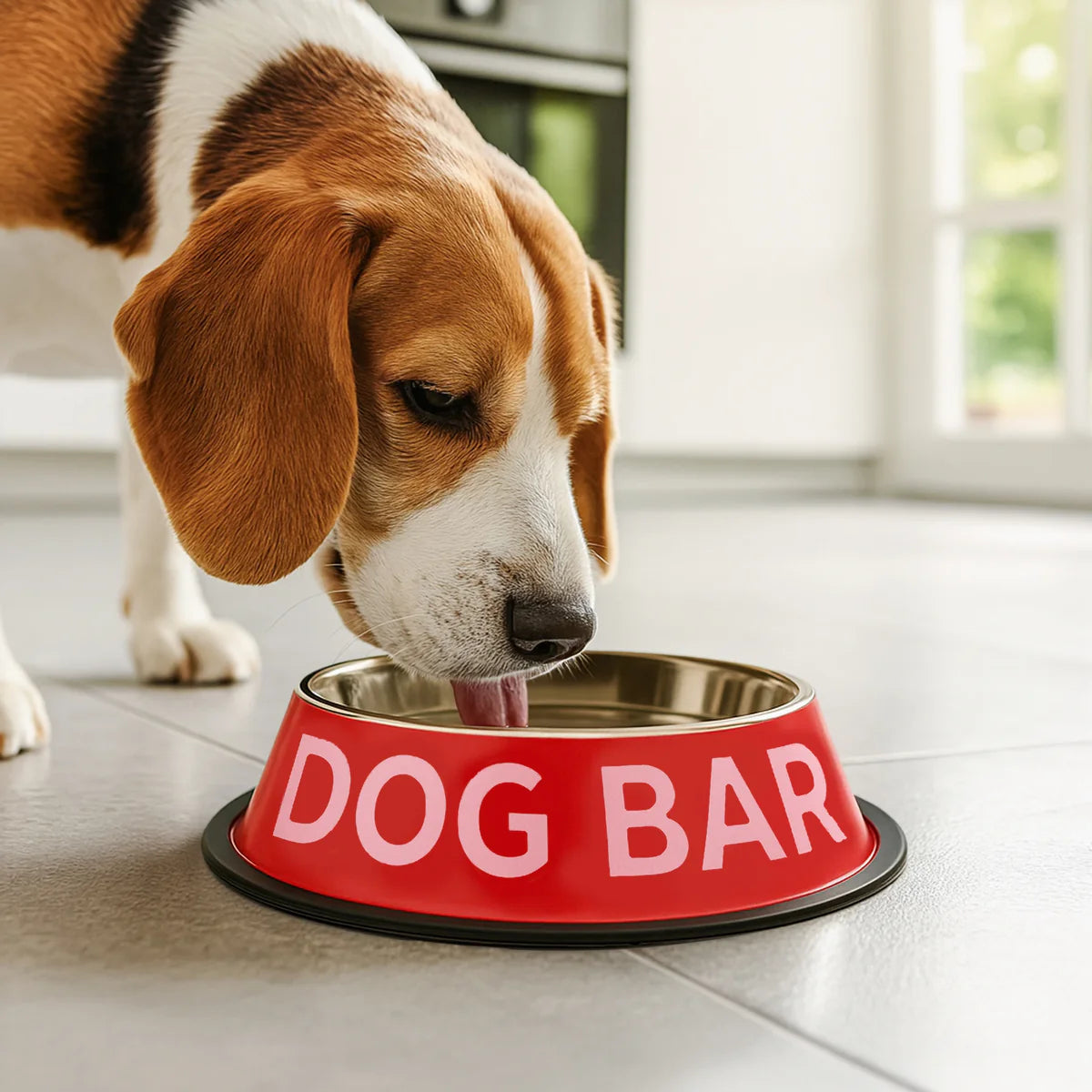 GAMELLE POUR CHIEN - DOG BAR - FISURA
