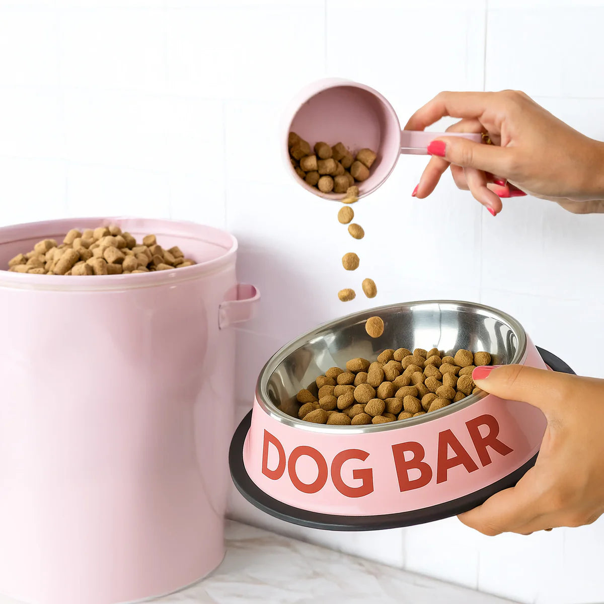 GAMELLE POUR CHIEN - DOG BAR - FISURA