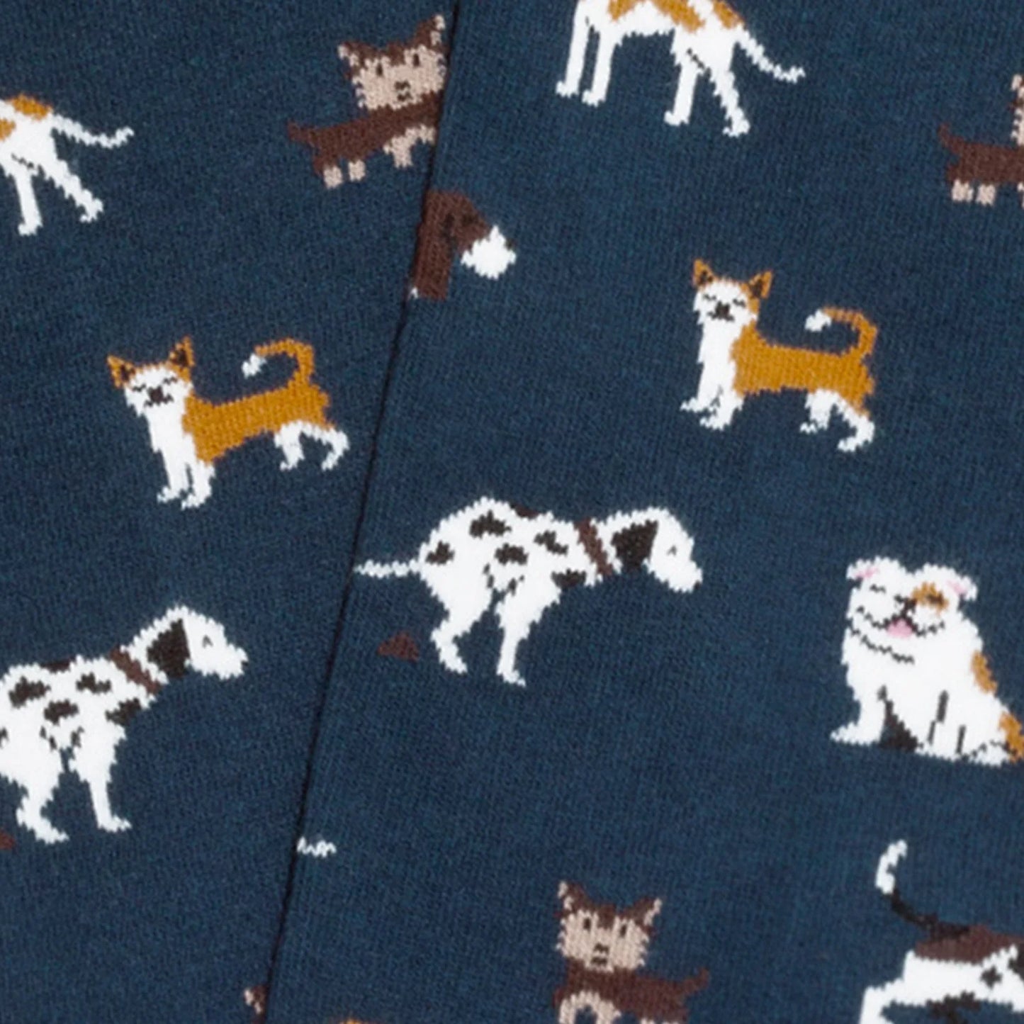 CHAUSSETTES - CHIENS - BLEU MARINE - JIMMY LION