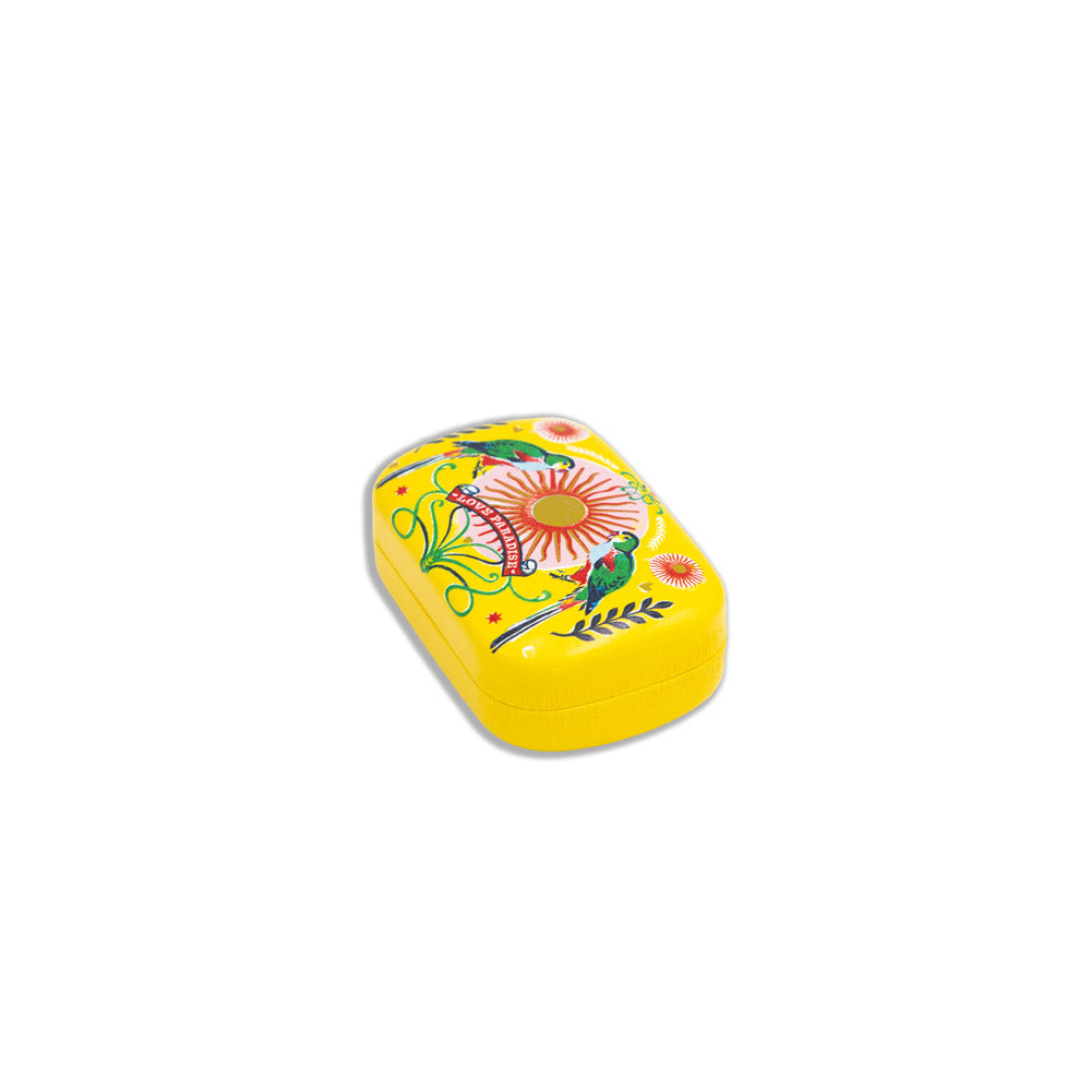MINI ETUI PERROQUETS  - CARTES D'ART