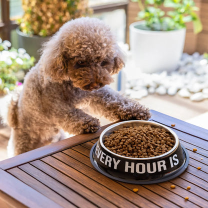 GAMELLE POUR CHIEN - HAPPY HOUR - FISURA