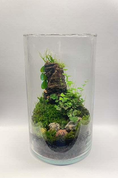 BIOSPHÈRE BIOACTIVE "BRUME VERTE" 12 x 20 cm - NATUR'D