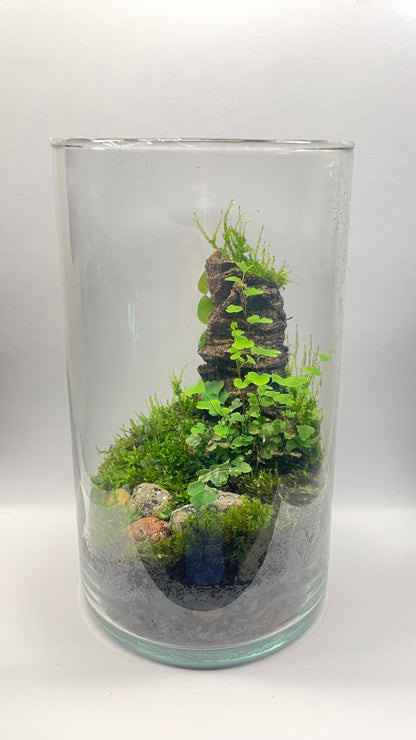 BIOSPHÈRE BIOACTIVE "BRUME VERTE" 12 x 20 cm - NATUR'D