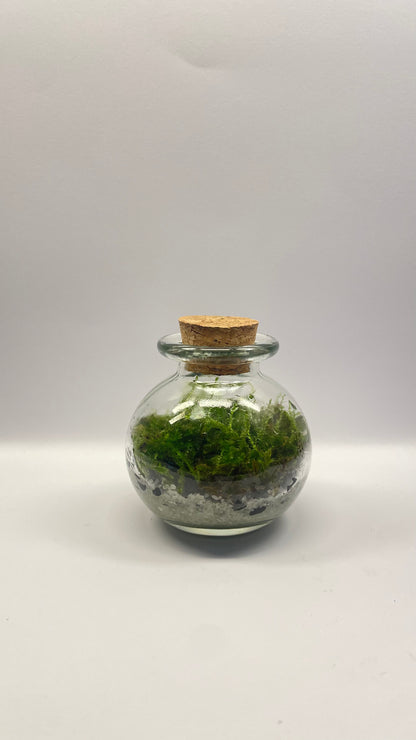 MINI BIOSPHÈRE POTION - 6 x 7cm - NATUR'D