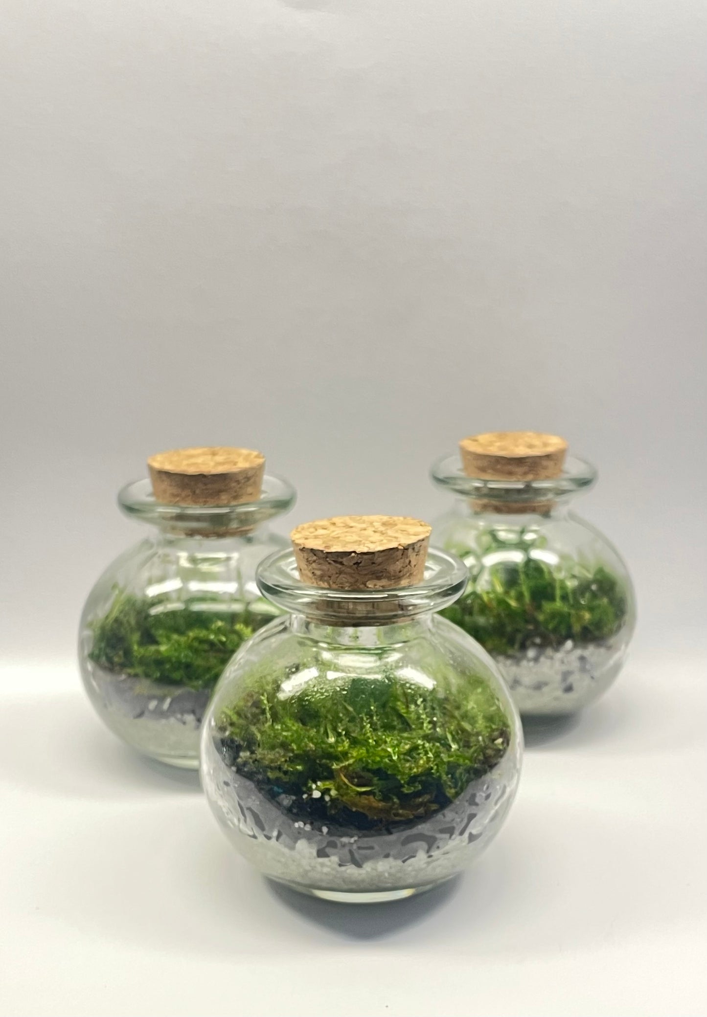 MINI BIOSPHÈRE POTION - 6 x 7cm - NATUR'D