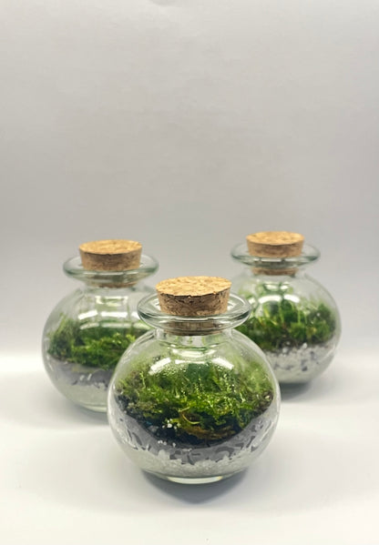 MINI BIOSPHÈRE POTION - 6 x 7cm - NATUR'D