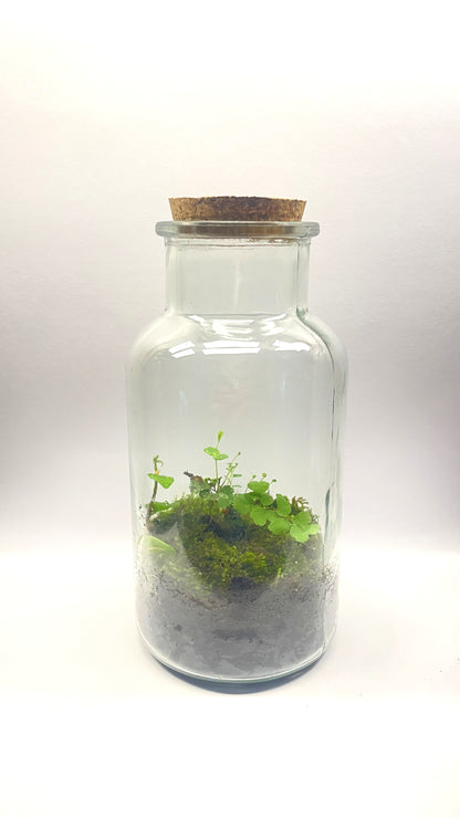 BIOSPHÈRE BIO-ACTIVE POTION 8 cm x 17 cm - NATUR'D