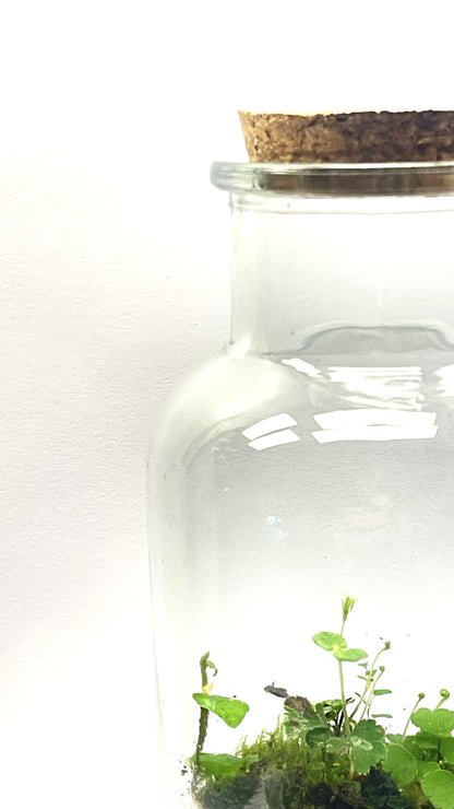 BIOSPHÈRE BIO-ACTIVE POTION 8 cm x 17 cm - NATUR'D