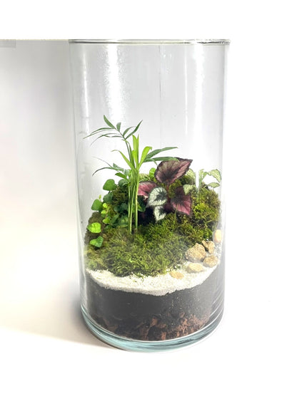 BIOSPHÈRE BIOACTIVE AUTONOME - GRAND MODELE 16 x 29.5cm